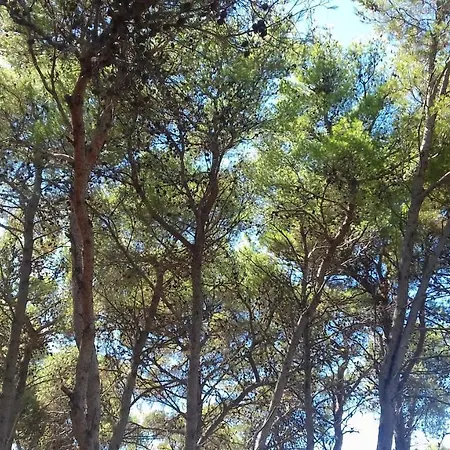 Caravan Near The Sea 5