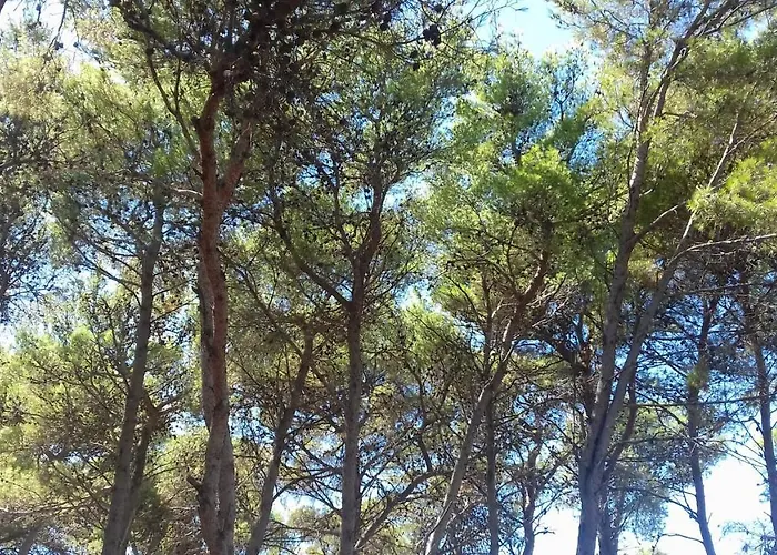 Caravan Near The Sea 5